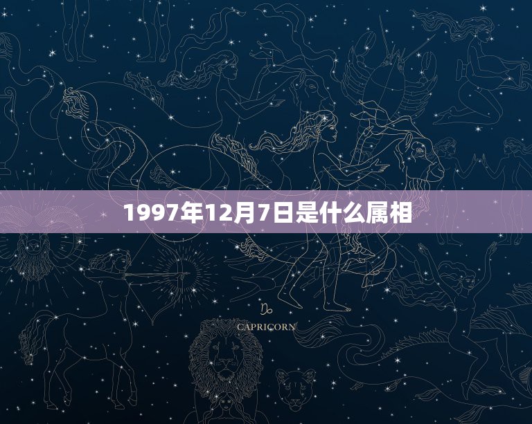 1997年12月7日是什么属相，1997年12月7日出生的属相