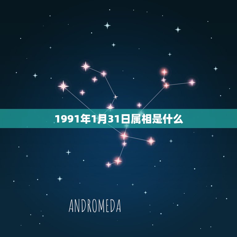 1991年1月31日属相是什么，阳历1991年1月31日，农历是12月