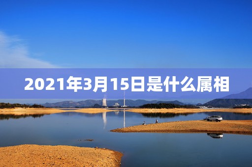 2021年3月15日是什么属相，2021年运势12生肖运势