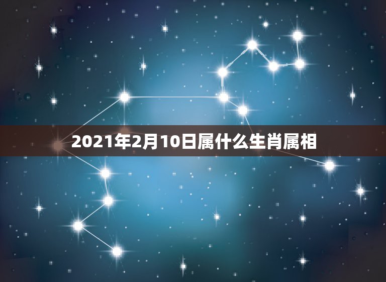 2021年2月10日属什么生肖属相，2021年2月6日属什么生肖