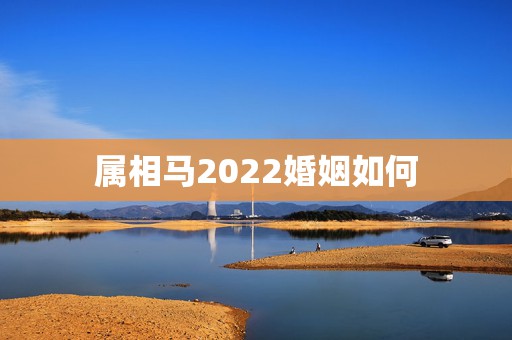 属相马2022婚姻如何，2022年属马人的全年每月