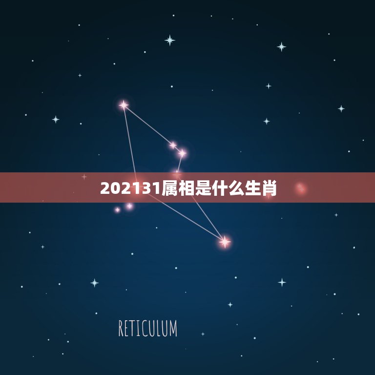 202131属相是什么生肖，十二生肖都什么属相是大属