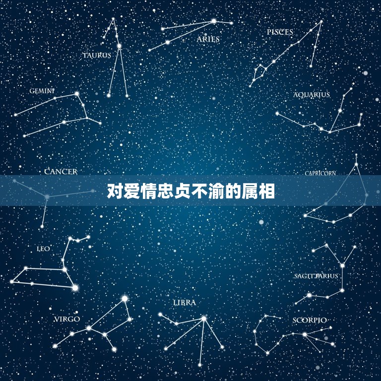 对爱情忠贞不渝的属相，什么动物对爱情最忠贞？