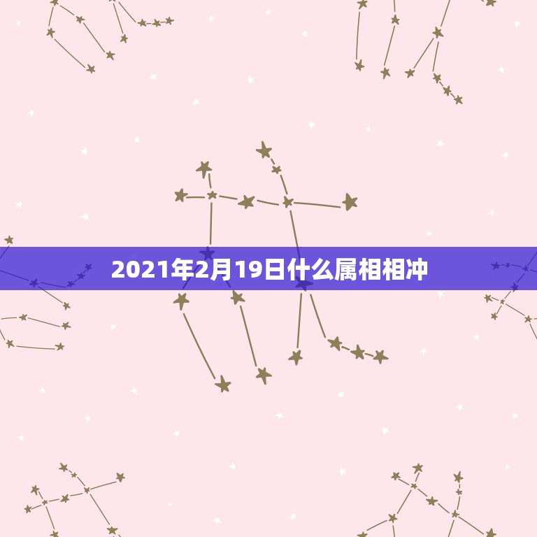 2021年2月19日什么属相相冲，2021年2月19日1点44分出生的