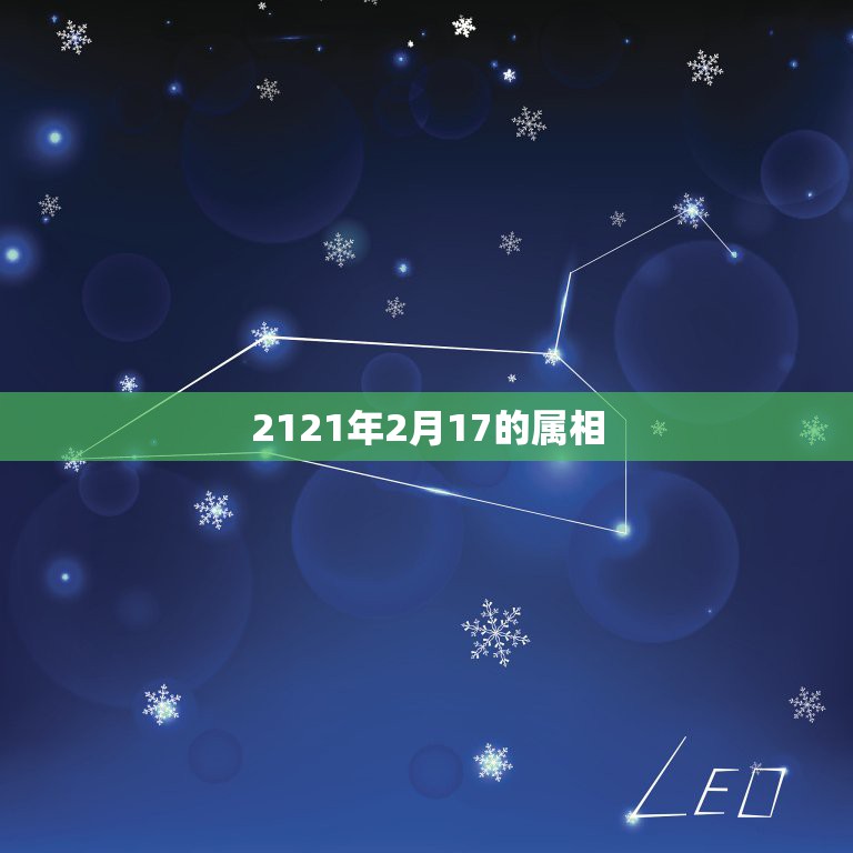 2121年2月17的属相，阳历96年2月十七出生属相是啥