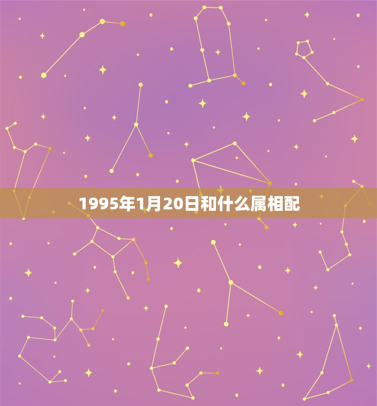 1995年1月20日和什么属相配，农历1995年1月20日出生的是什么