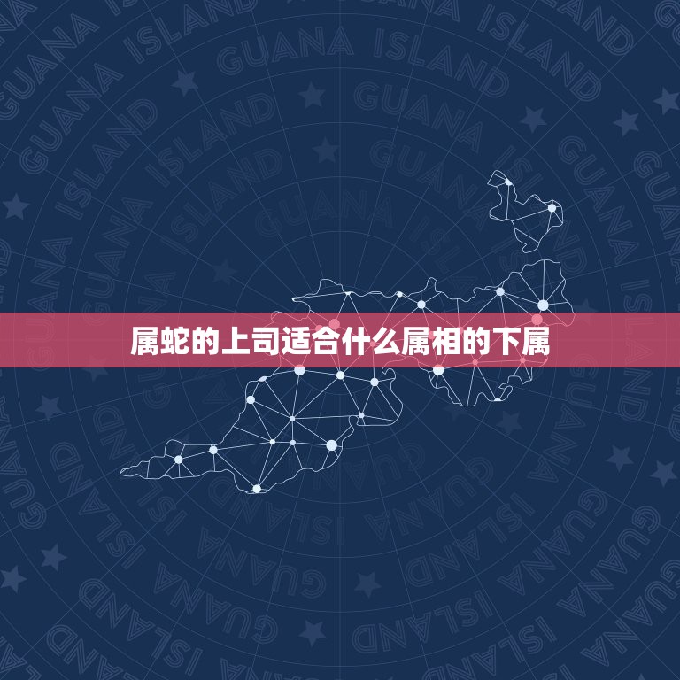 属蛇的上司适合什么属相的下属，属蛇的人今年和什么领导搭配最合适