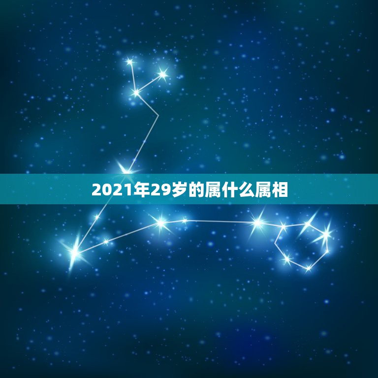 2021年29岁的属什么属相，2021年28岁属什么生肖