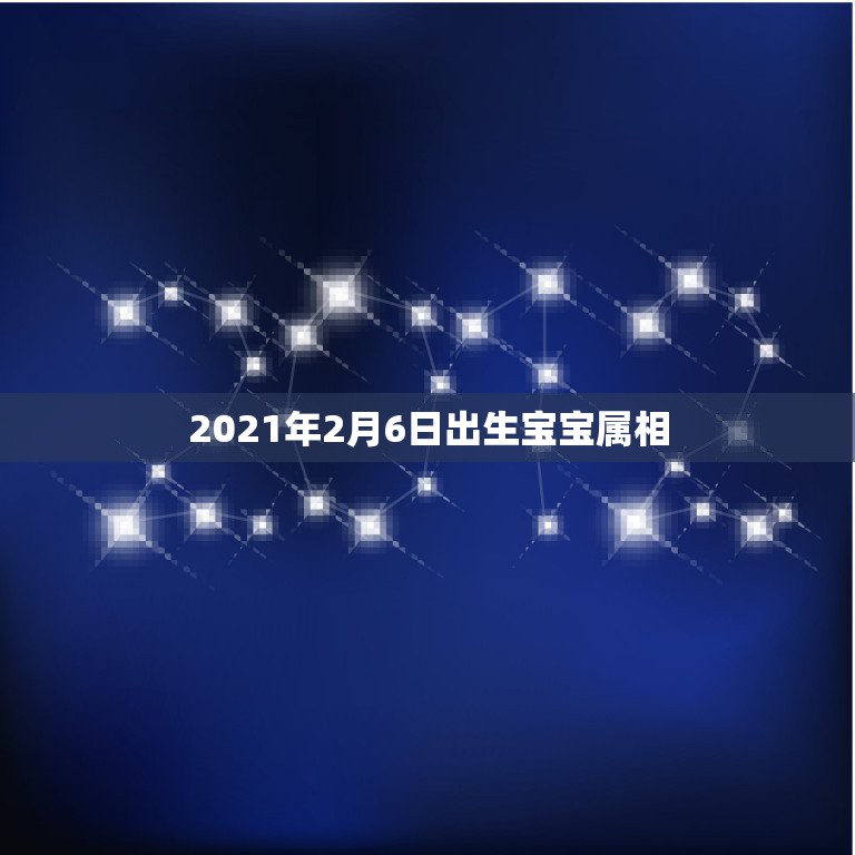 2021年2月6日出生宝宝属相，2021年28岁属什么生肖