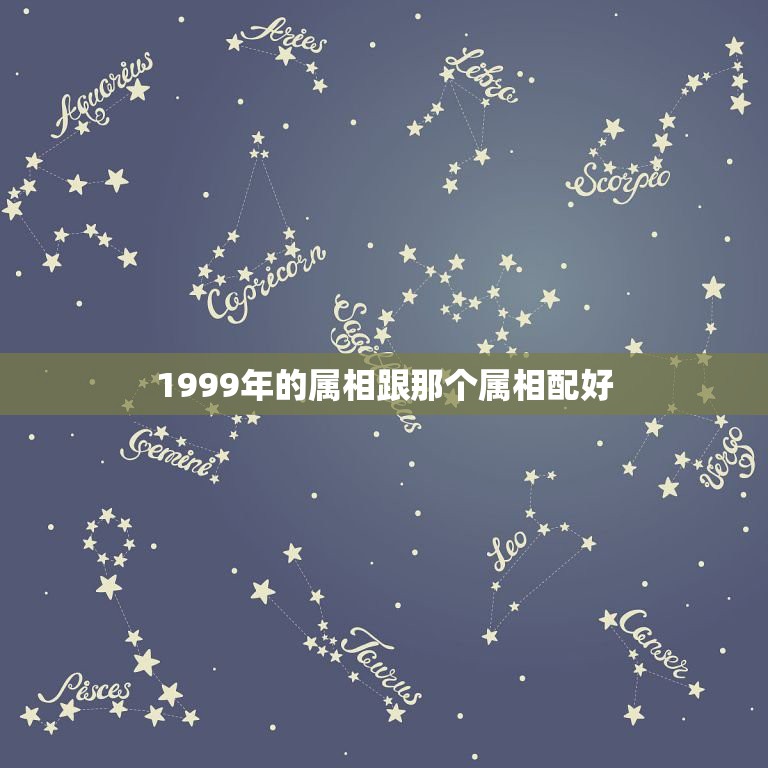 1999年的属相跟那个属相配好，1999年属什么生肖配对