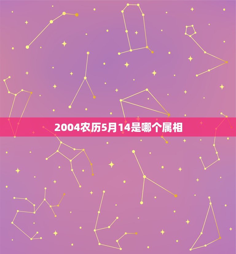 2004农历5月14是哪个属相，生日公历是2004年5月14日，那农历