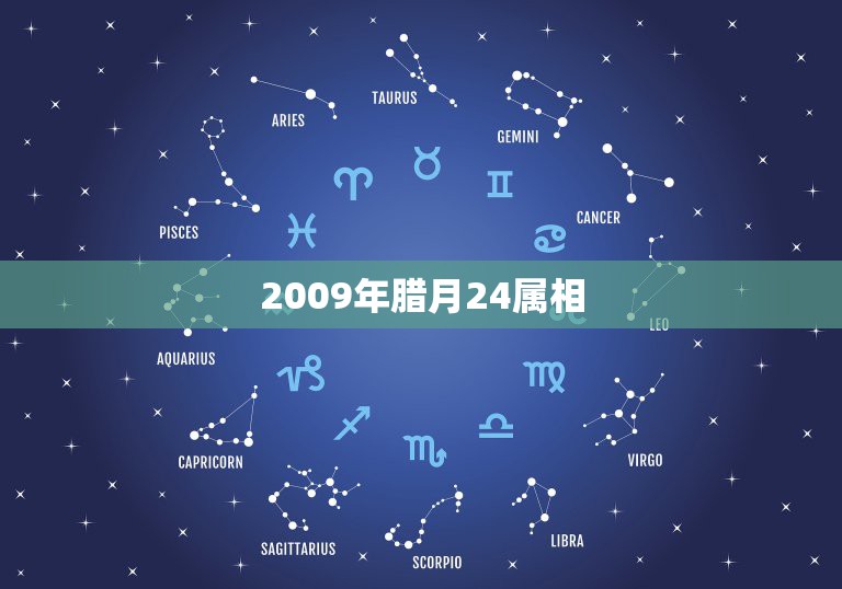 2009年腊月24属相，生日是农历2008年12月29公历2009年1