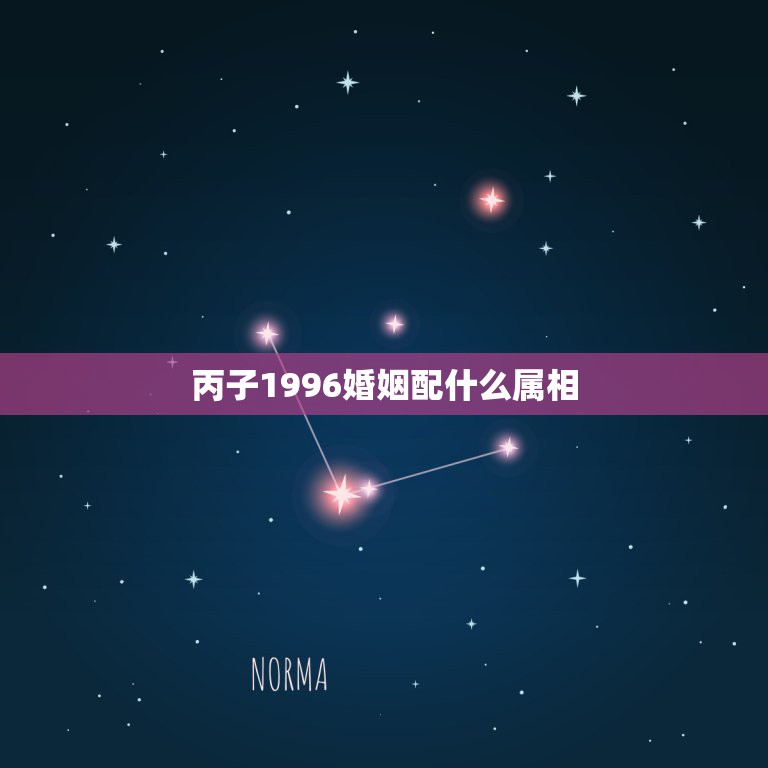 丙子1996婚姻配什么属相，我是1996年12月10日出生的。和什么属