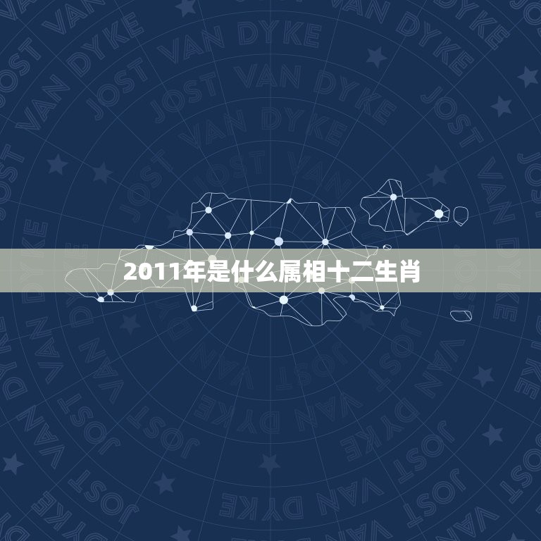 2011年是什么属相十二生肖，十二生肖2011年是什么兔