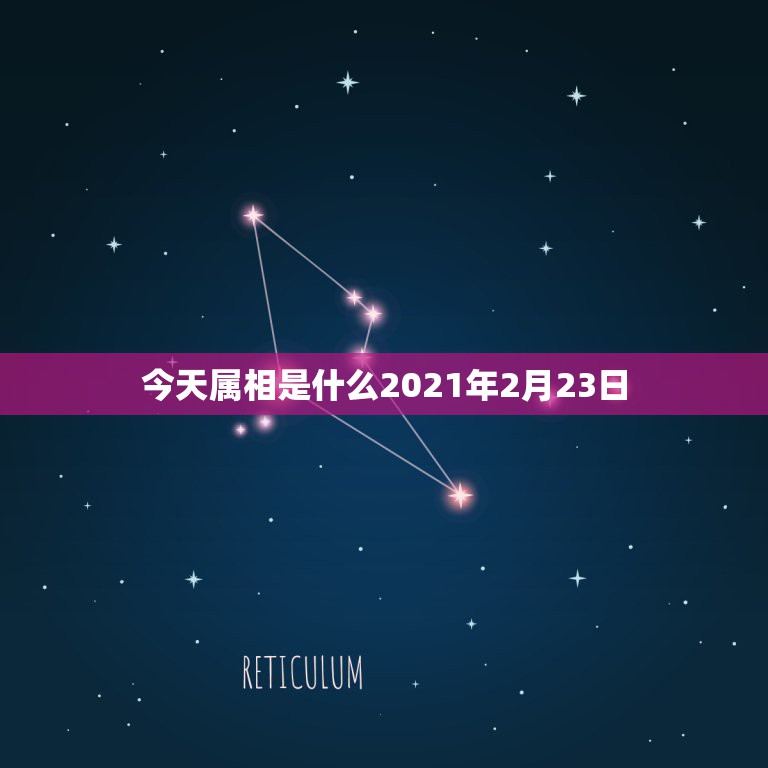 今天属相是什么2021年2月23日，2021年的今天是什么生肖日？