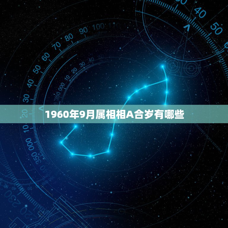 1960年9月属相相A合岁有哪些，九五年的猪和什么属相最相陪