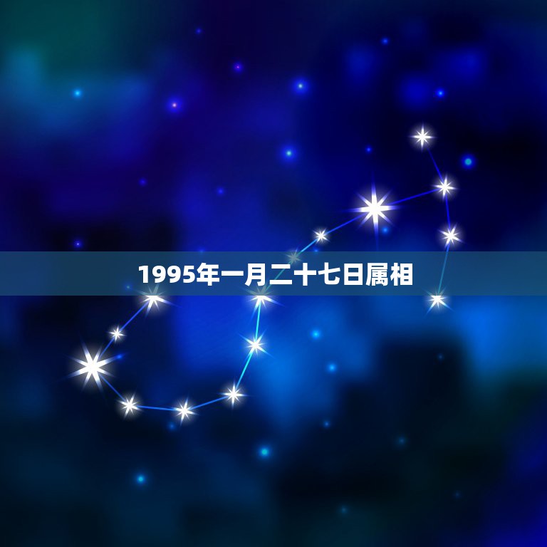 1995年一月二十七日属相，农历1995年腊月二十七到底是属猪还是属鼠