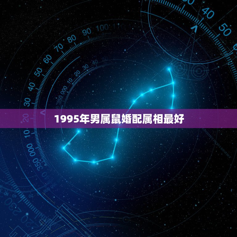 1995年男属鼠婚配属相最好，1995年属鼠和那年的属相陪？