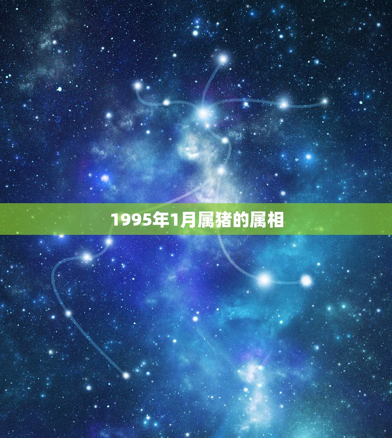 1995年1月属猪的属相，1995年1月1日属猪还是属狗？