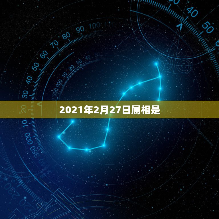 2021年2月27日属相是，2021年今天属什么生肖？