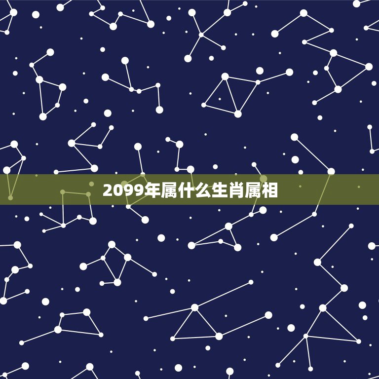 2099年属什么生肖属相，在197年出生的人属什么 12生肖的