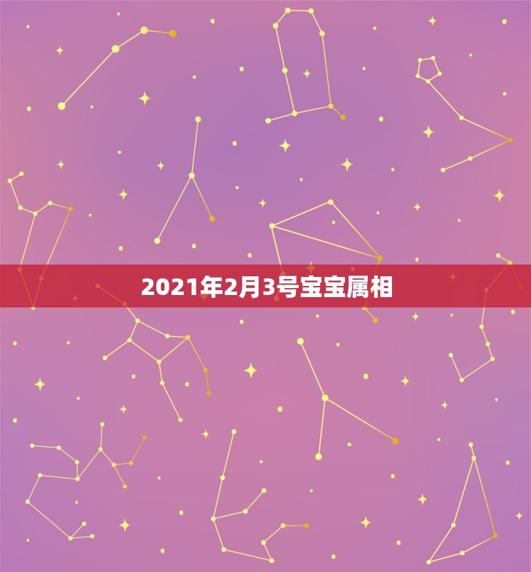 2021年2月3号宝宝属相，2021年2月3日属什么属相