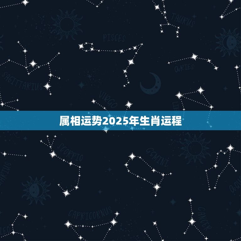 属相运势2025年生肖运程，2023年十二生肖运程