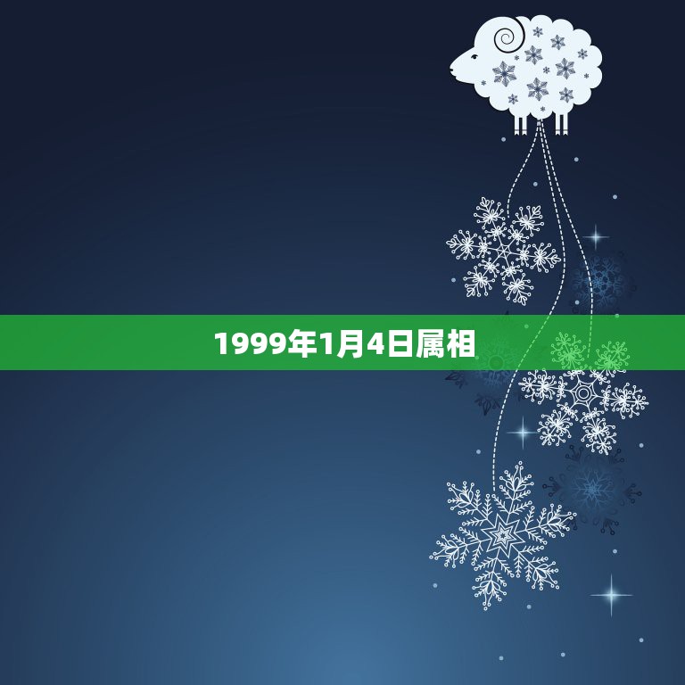 1999年1月4日属相，农历1999年，1月4号出生的是什么星座，什么