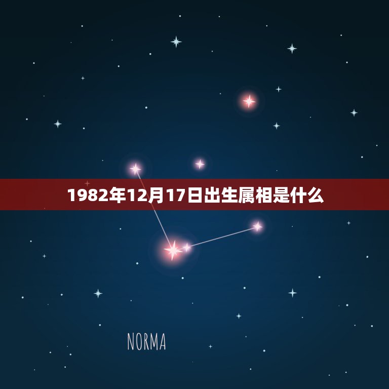 1982年12月17日出生属相是什么，1982年农历12月17日是什么