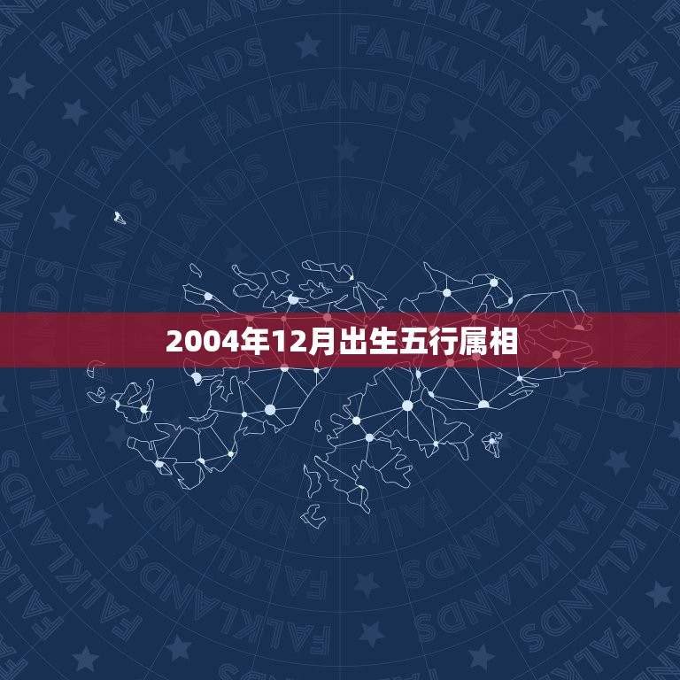 2004年12月出生五行属相，2004年12月24日丑时阳历出生男命五