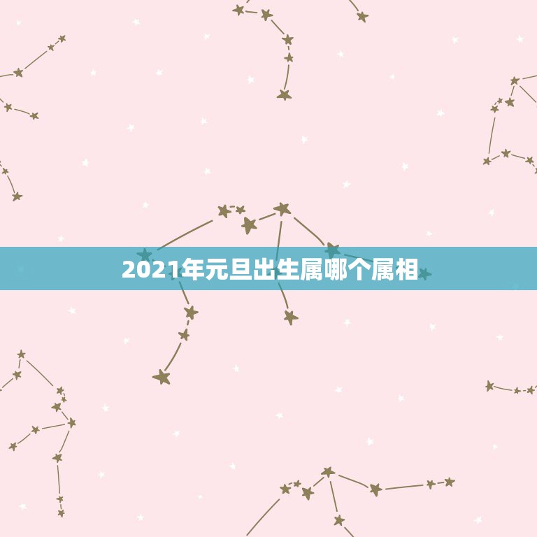 2021年元旦出生属哪个属相，2021年1月1日出生的宝宝属相