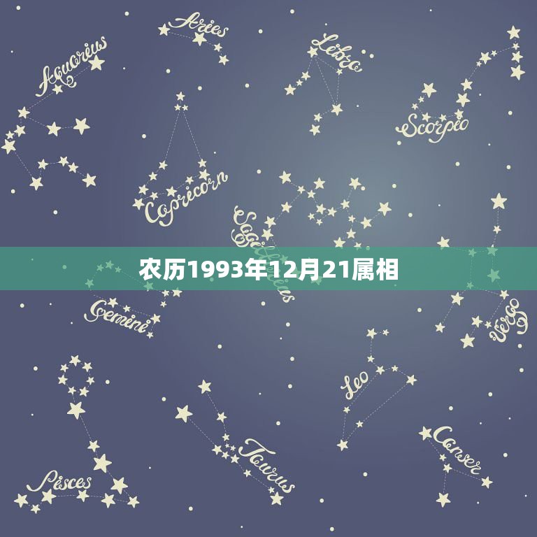 农历1993年12月21属相，农历93年12月21份生的属于什么星座