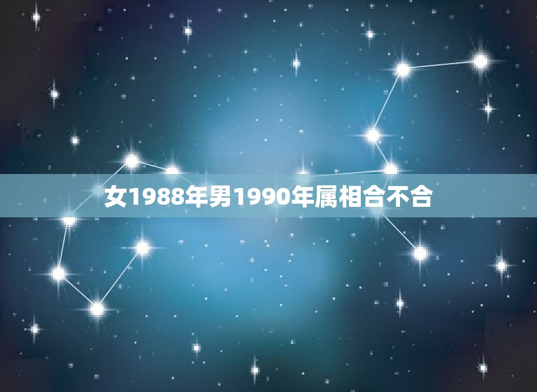 女1988年男1990年属相合不合，1988年出生的属龙和1990出生