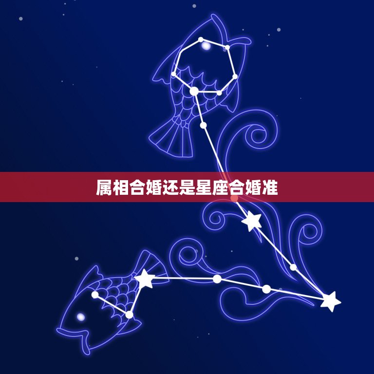 属相合婚还是星座合婚准，婚姻属相，星座相配可信么