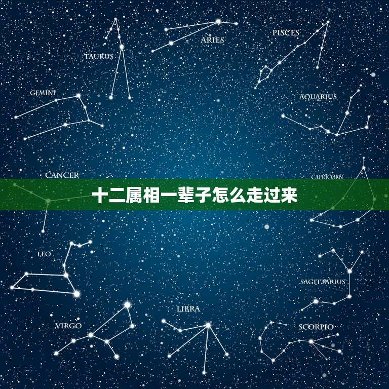 十二属相一辈子怎么走过来，请问十二生肖中什么动物一生忙碌、不求回报、像