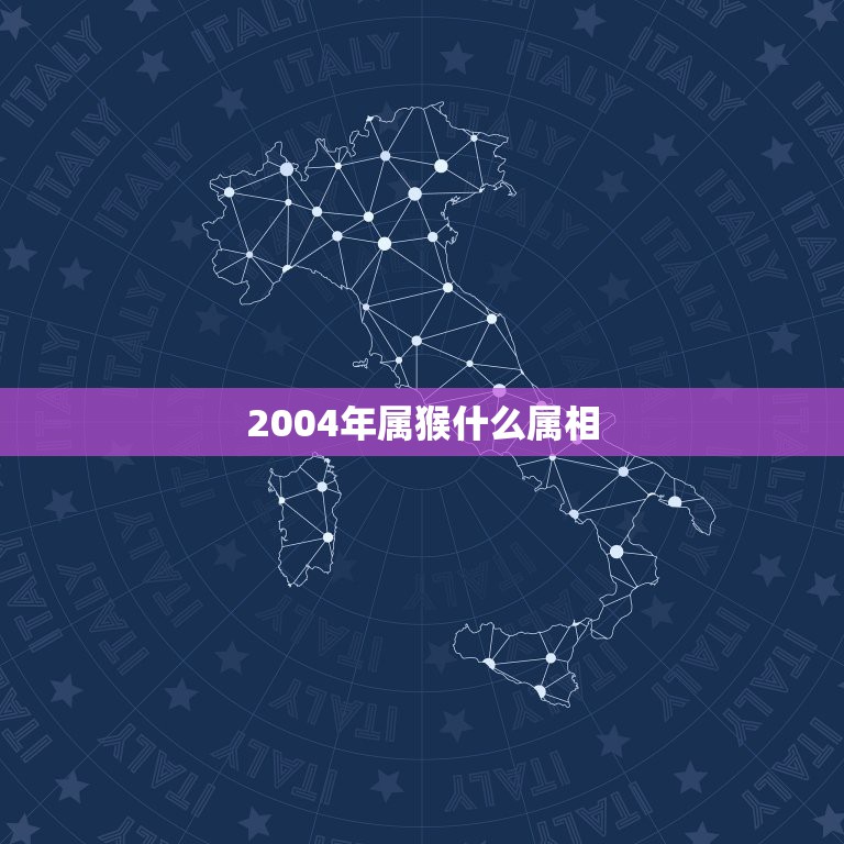 2004年属猴什么属相，2004年是什么生肖