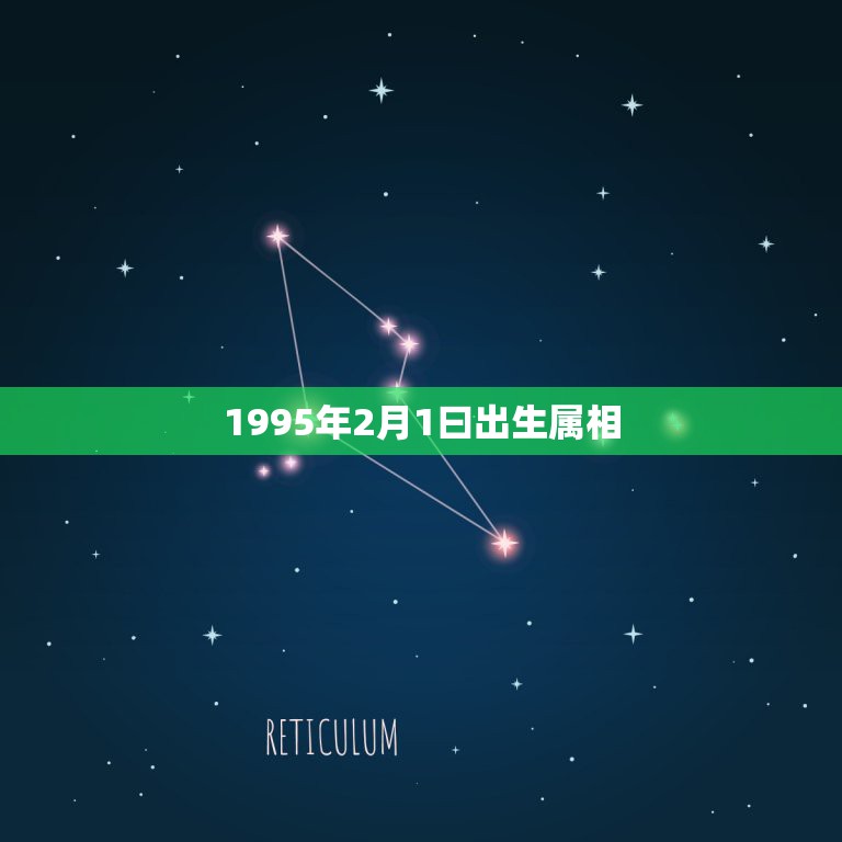 1995年2月1曰出生属相，公历1995年2月3号出生的什么属相