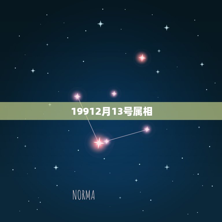 19912月13号属相，1991年2月13出生属羊在五行属什么