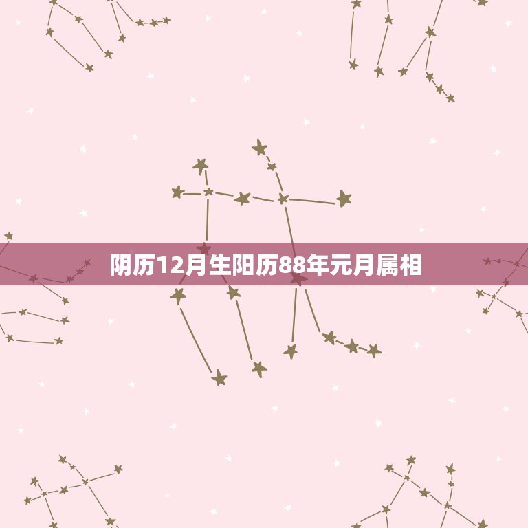 阴历12月生阳历88年元月属相，1988年阳历1月26日是什么属相，阴