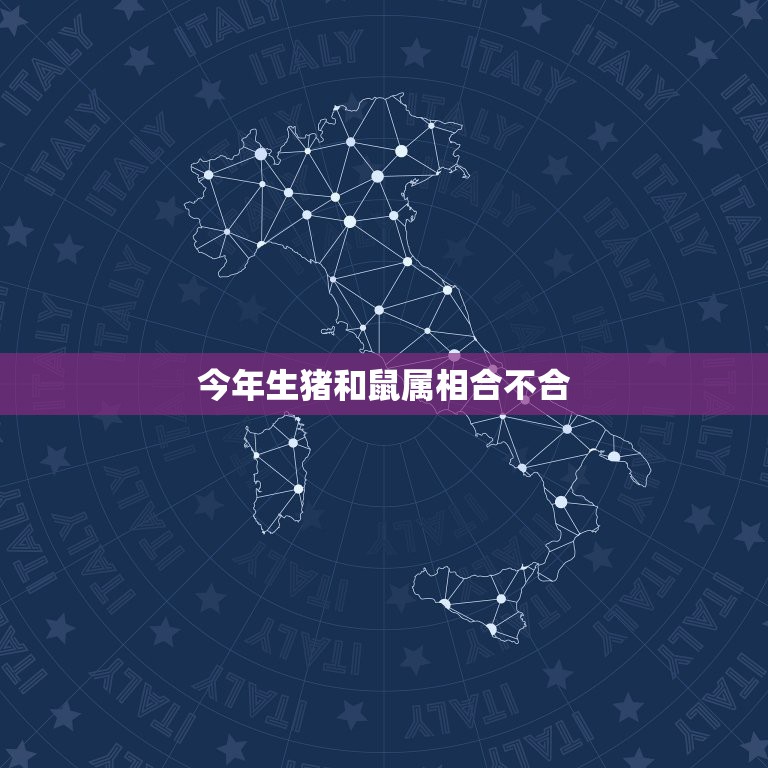 今年生猪和鼠属相合不合，属猪属鼠合不合？