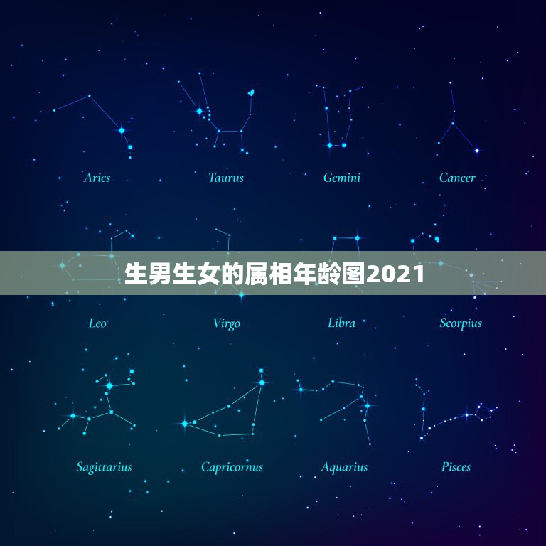 生男生女的属相年龄图2021，十二生肖年份表2021