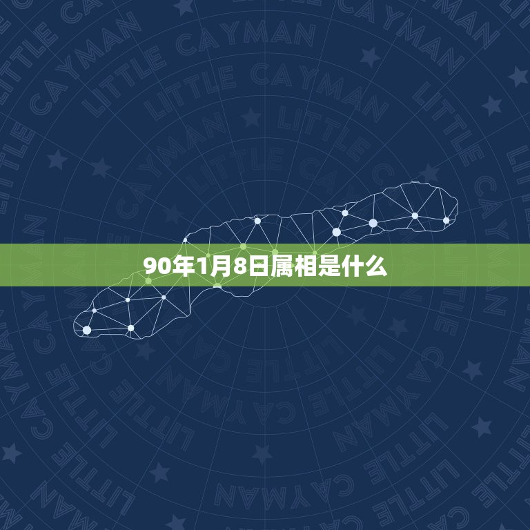 90年1月8日属相是什么，我出生是1990年1月8号 正确的属相应该属