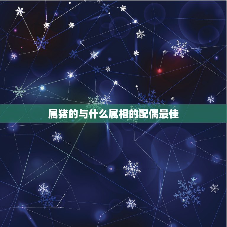 属猪的与什么属相的配偶最佳，属猪的最佳配偶 属猪的命运性格 属猪的和什