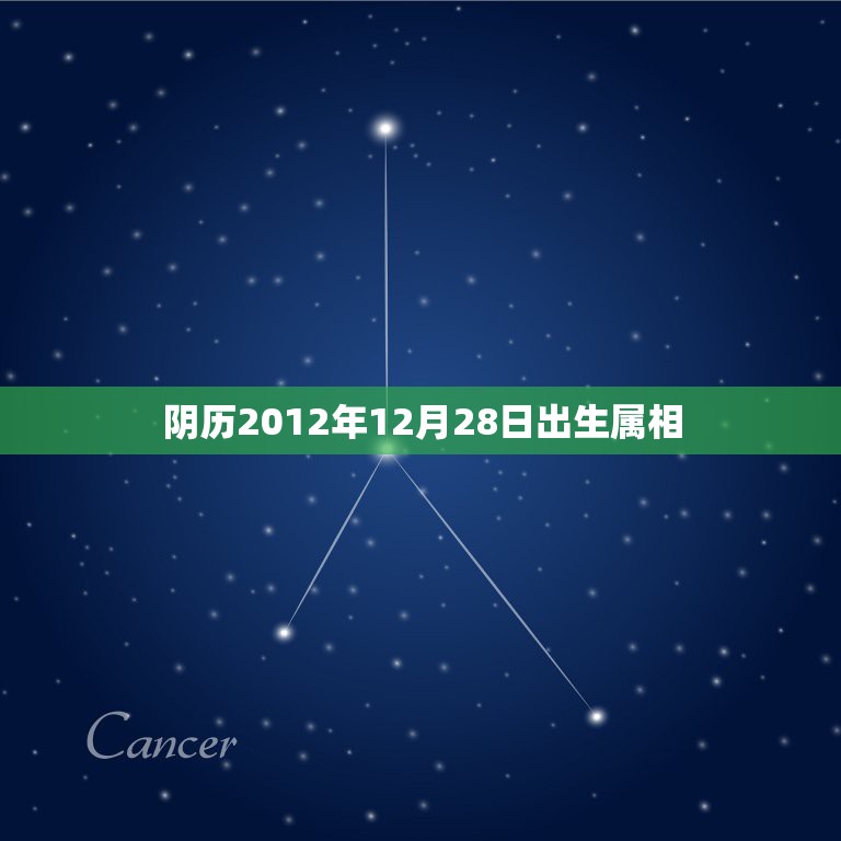 阴历2012年12月28日出生属相，我是农历12月28号出生的，应该属