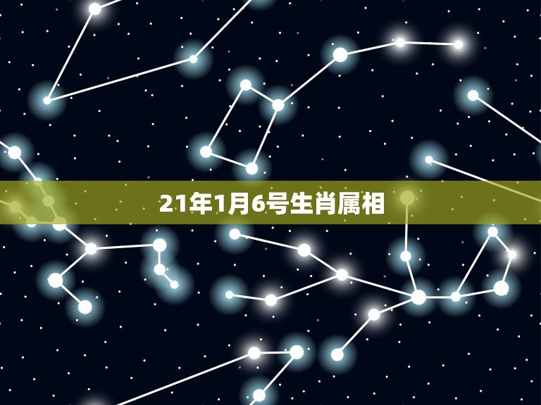 21年1月6号生肖属相，2001年1月6日阴历属什么生肖