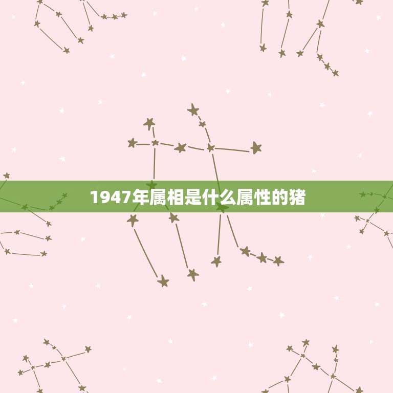 1947年属相是什么属性的猪，出生1947年属相是什么