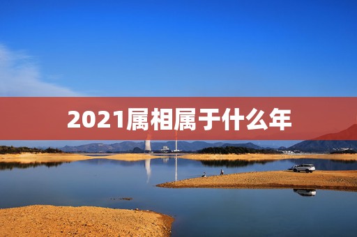 2021属相属于什么年，2021年正月十六是属什么