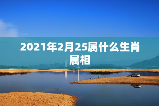 2021年2月25属什么生肖属相，明天属什么生肖2021年2月2日？