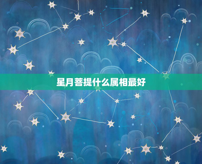 星月菩提什么属相最好，什么样的星月菩提品相好