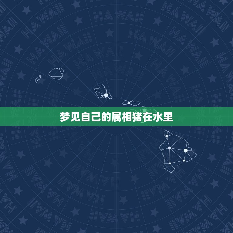 梦见自己的属相猪在水里，晚上做梦梦见孔翠的猪子在水里我们去那好不好